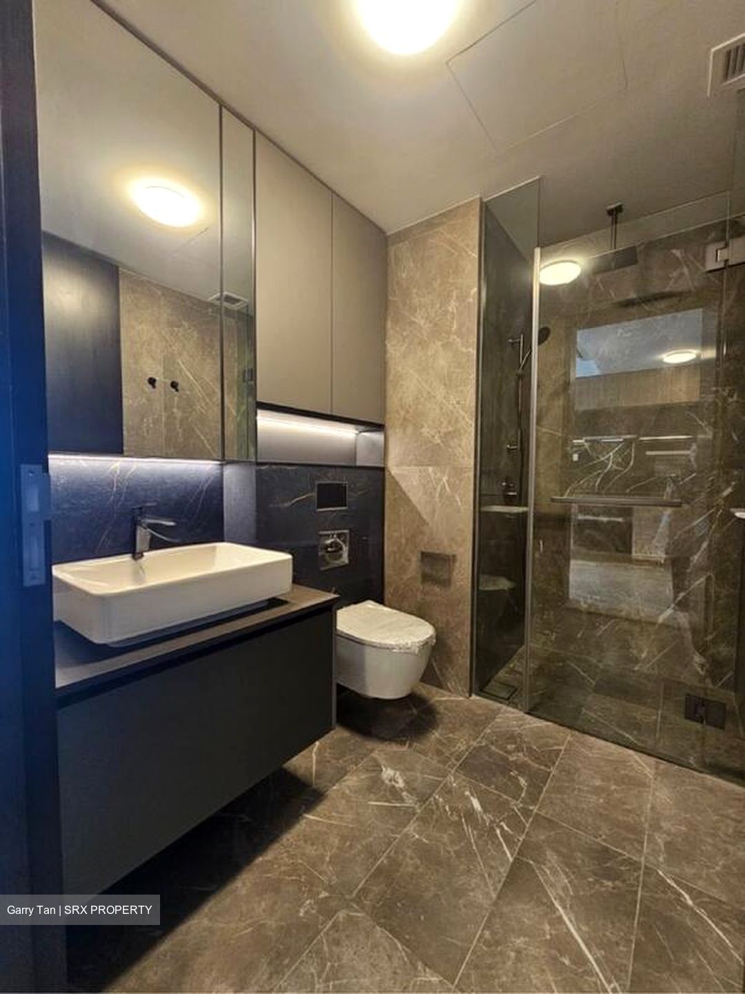 Irwell Hill Residences (D9), Apartment #502825311